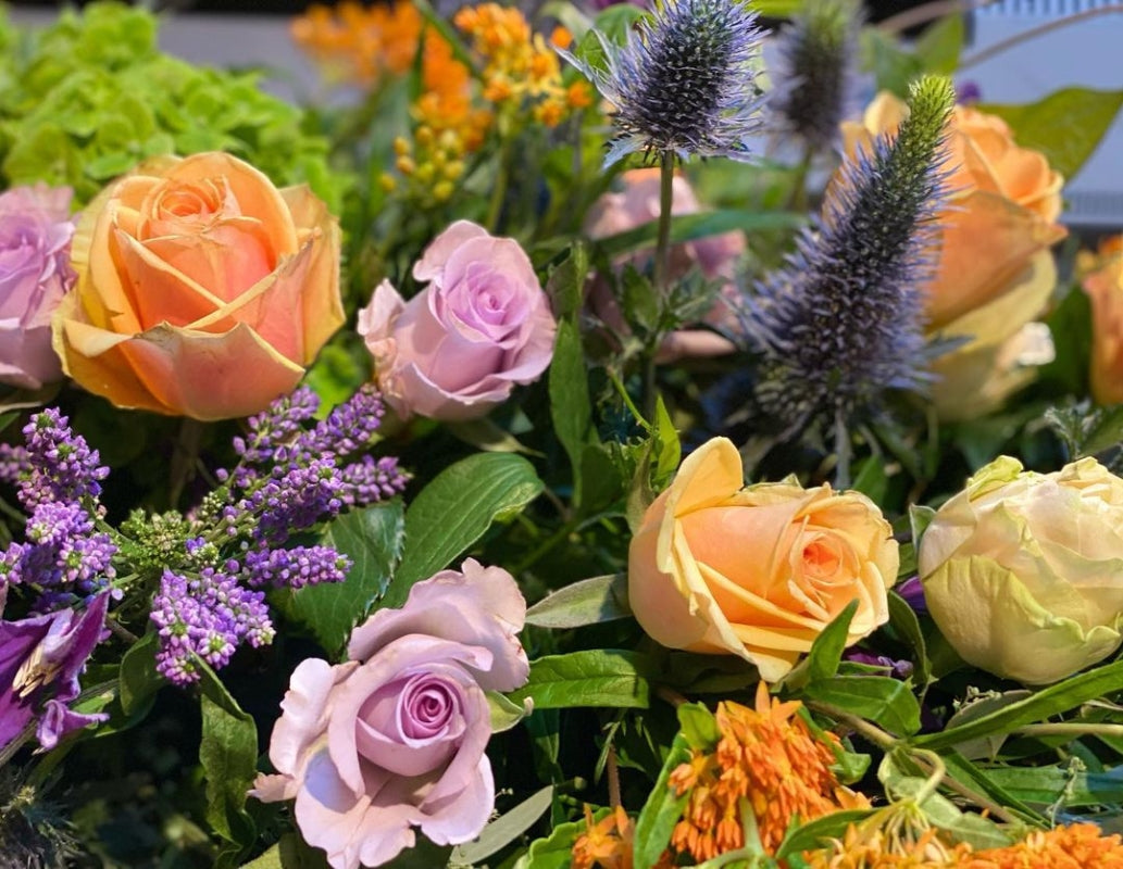Fitzrovia *Peaches&Oranges