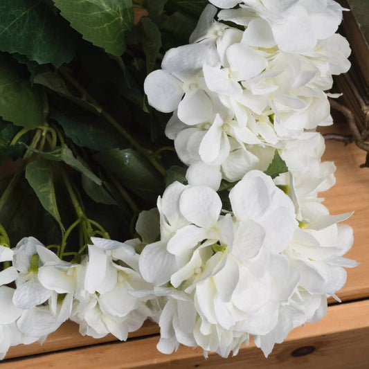 Hydrangea Only