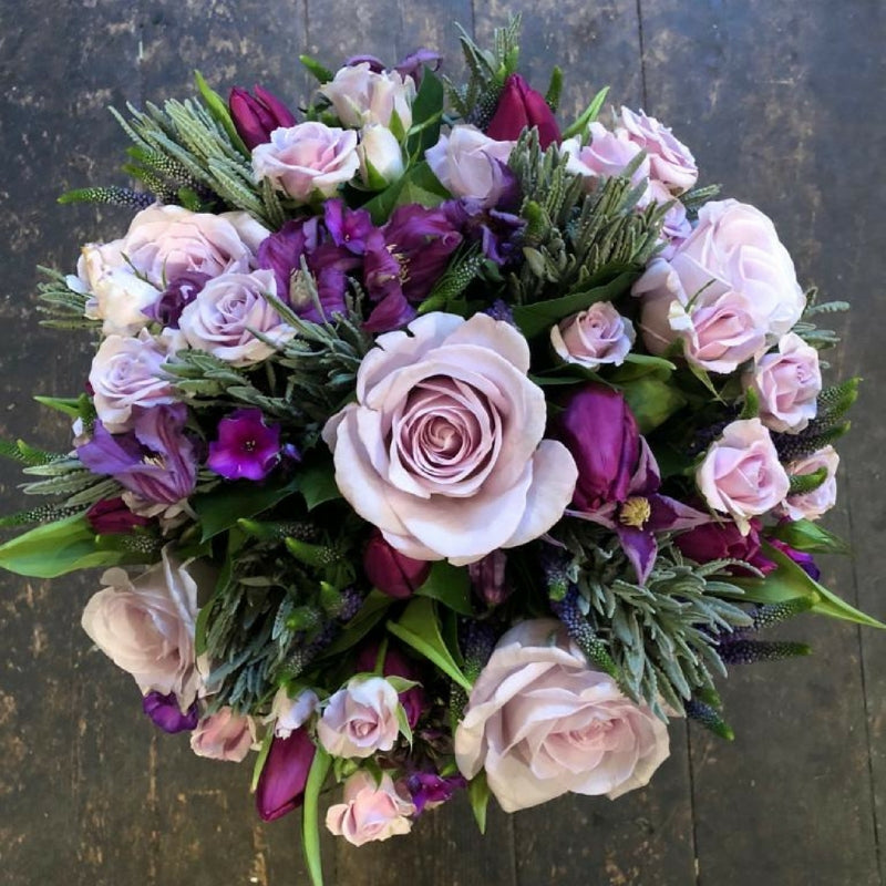 Westminster *Purples