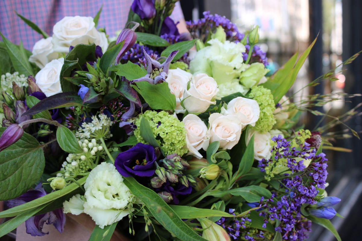 Westminster *Purples