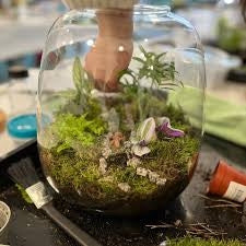 Terrarium