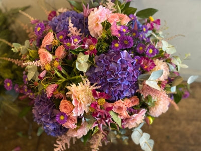 Westminster *Purples