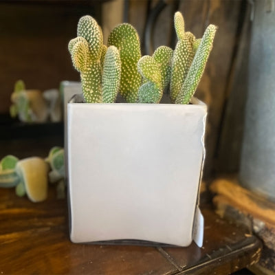 Square Vase Planter